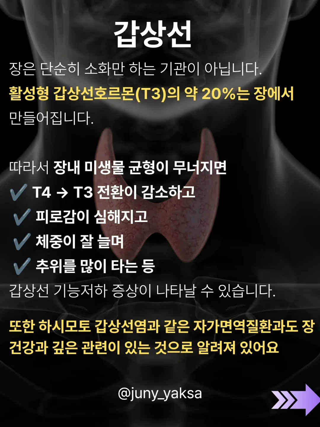 뿌리깊은 초등국어 독해력 2