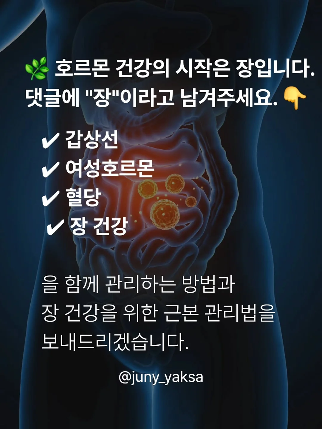 뿌리깊은 초등국어 독해력 7