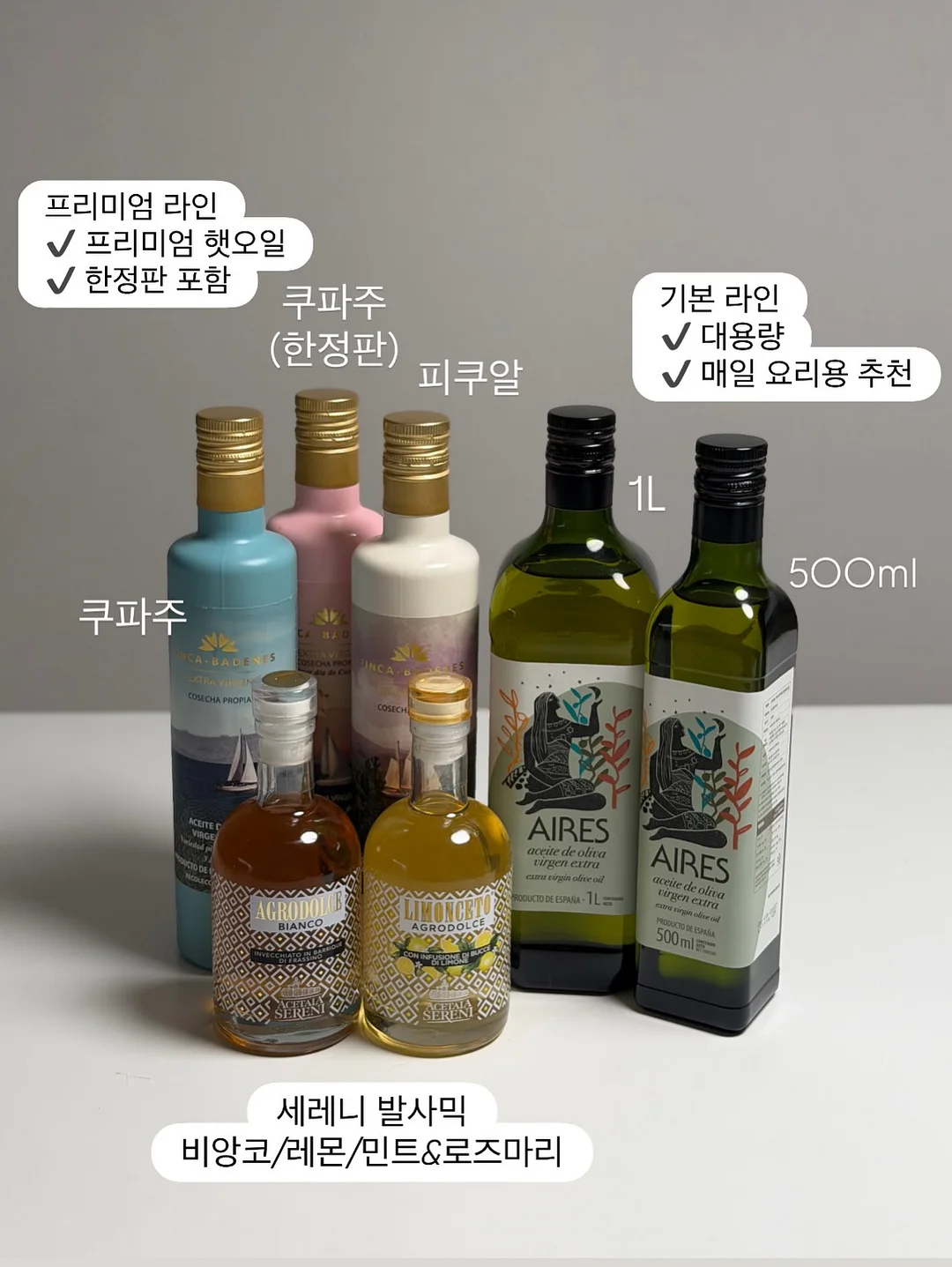 천일문 스타터 영어 수업 11