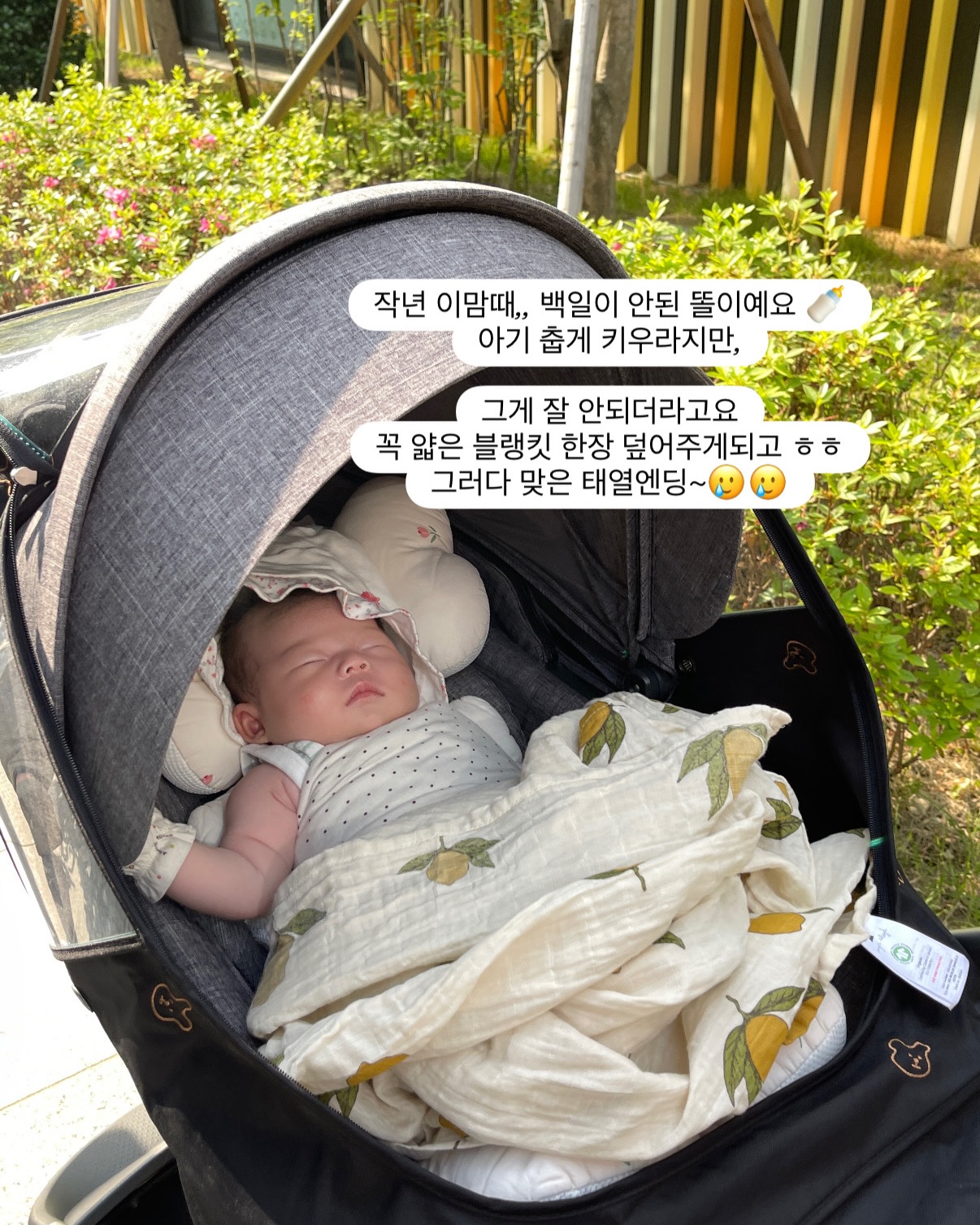 리본 헤어핀 2