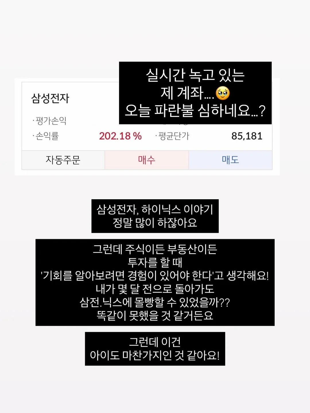카네이션 1