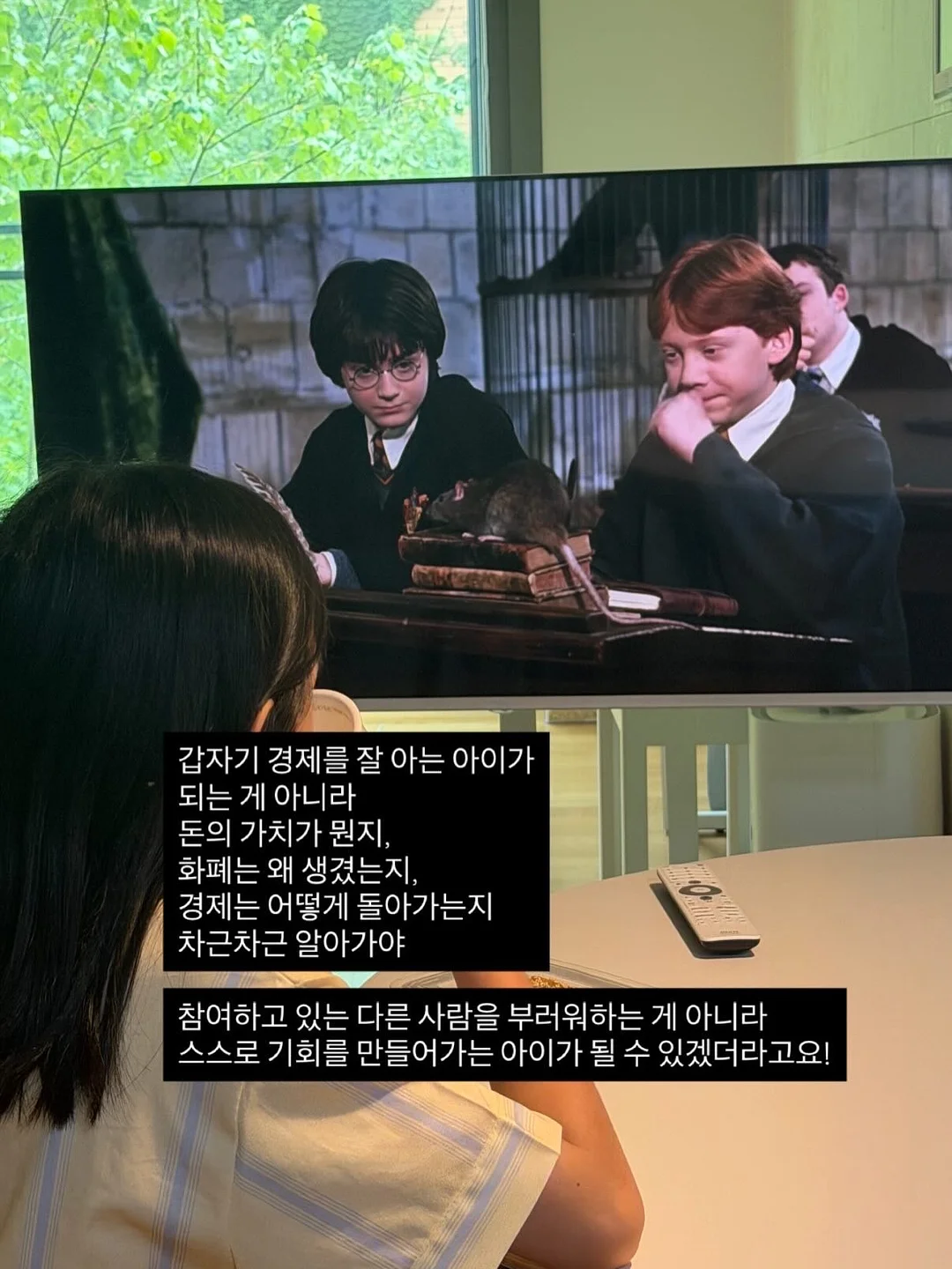 카네이션 2