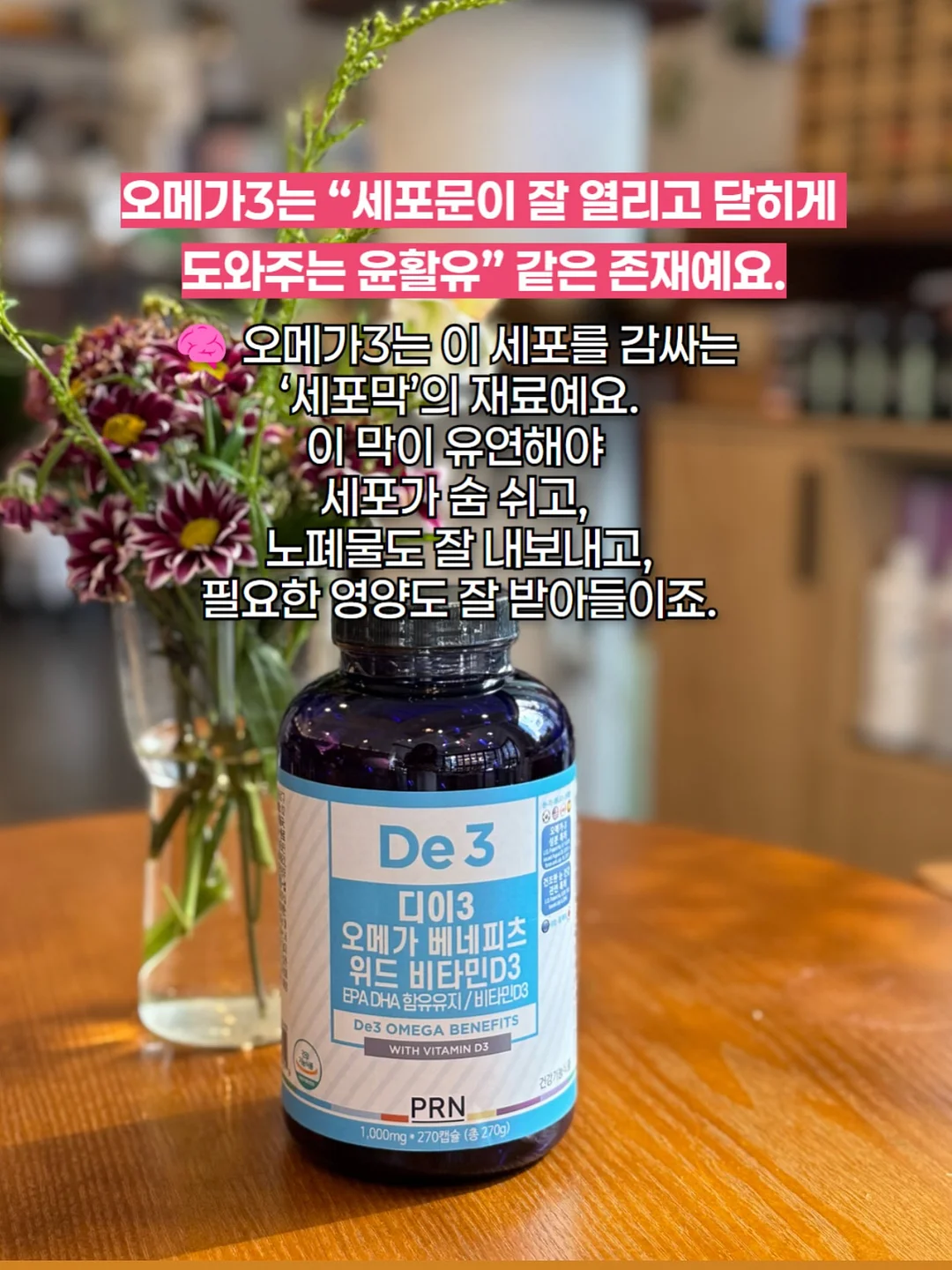 제주 곶자왈 서포터즈 12