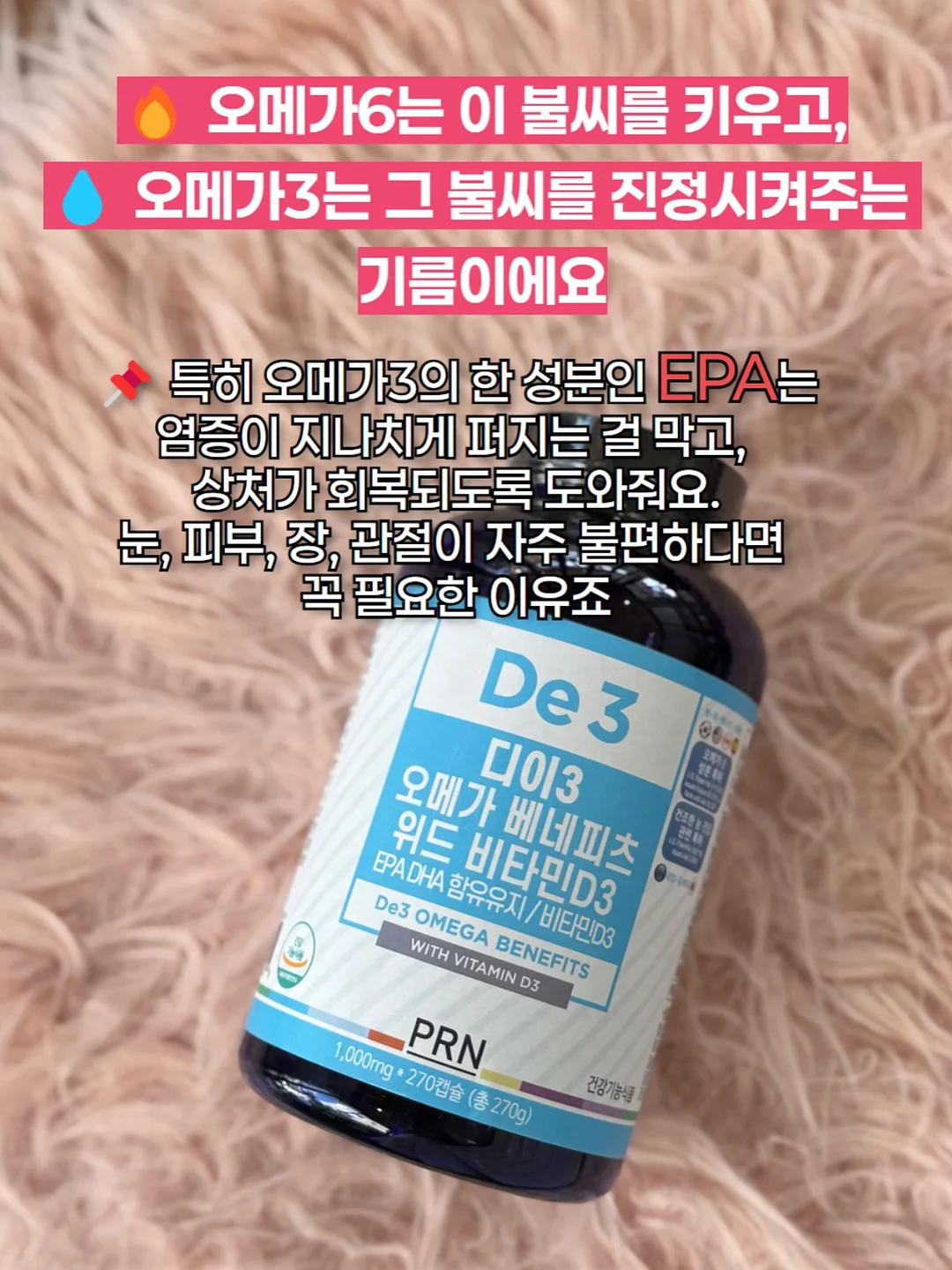 제주 곶자왈 서포터즈 14