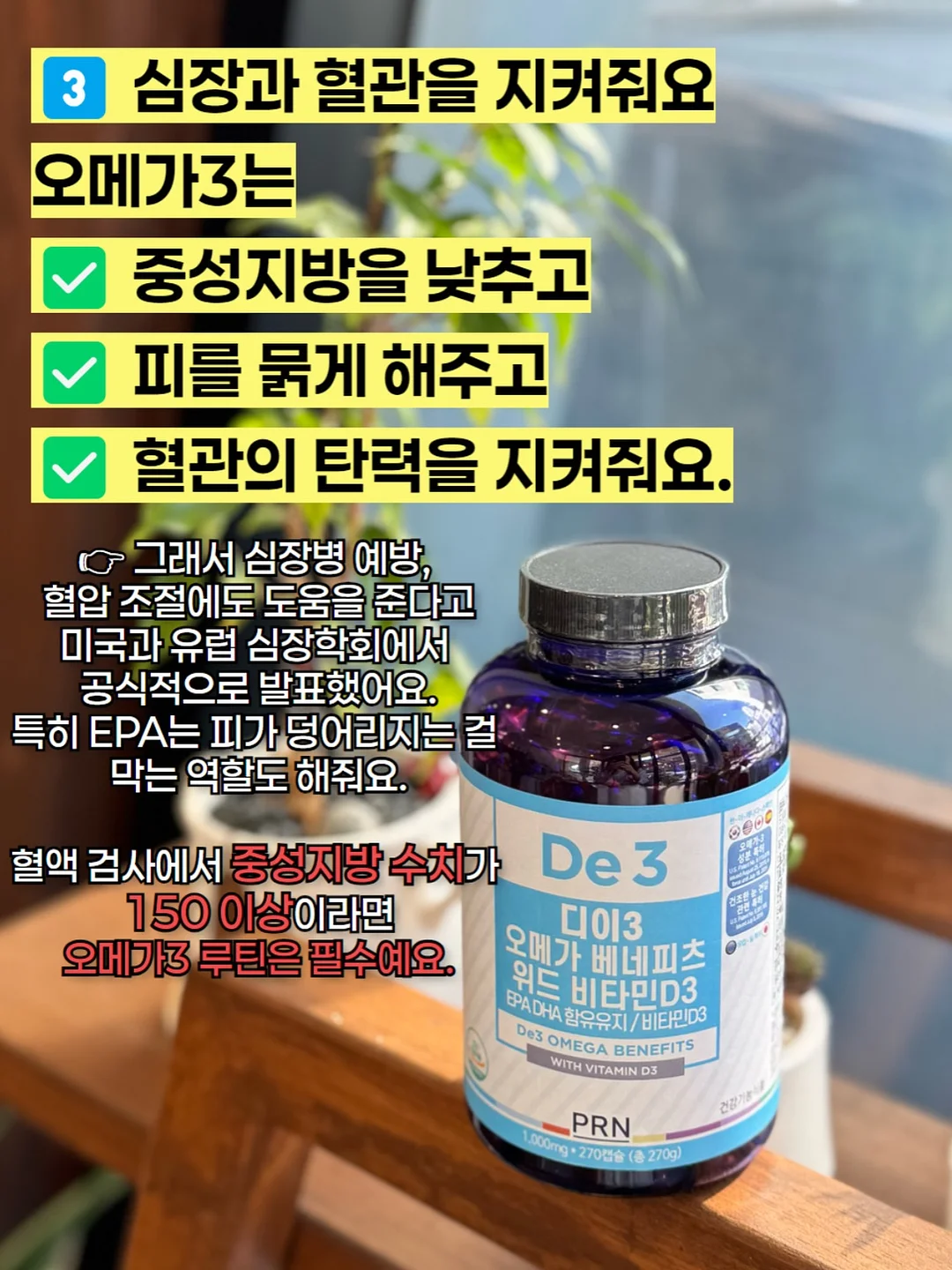 제주 곶자왈 서포터즈 15