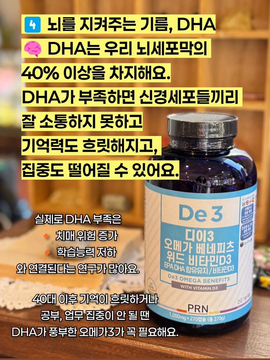 제주 곶자왈 서포터즈 16