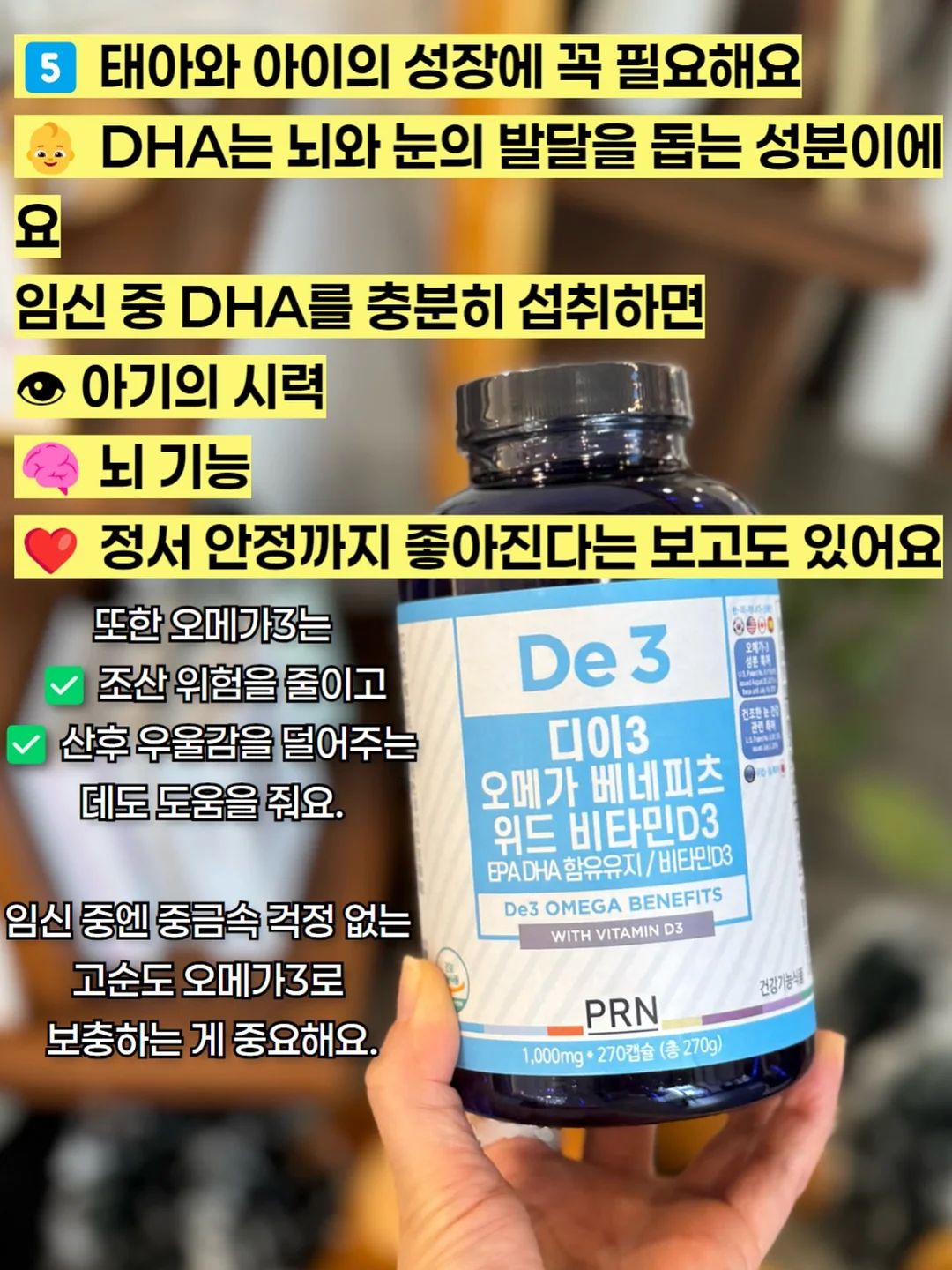 제주 곶자왈 서포터즈 17