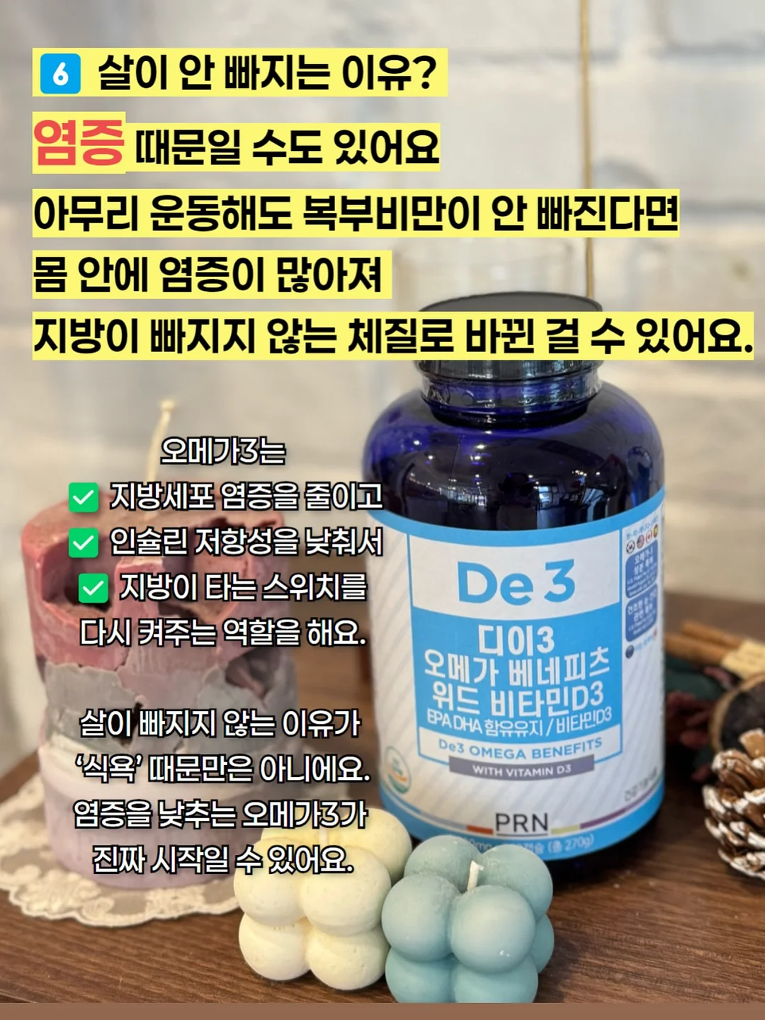 제주 곶자왈 서포터즈 18