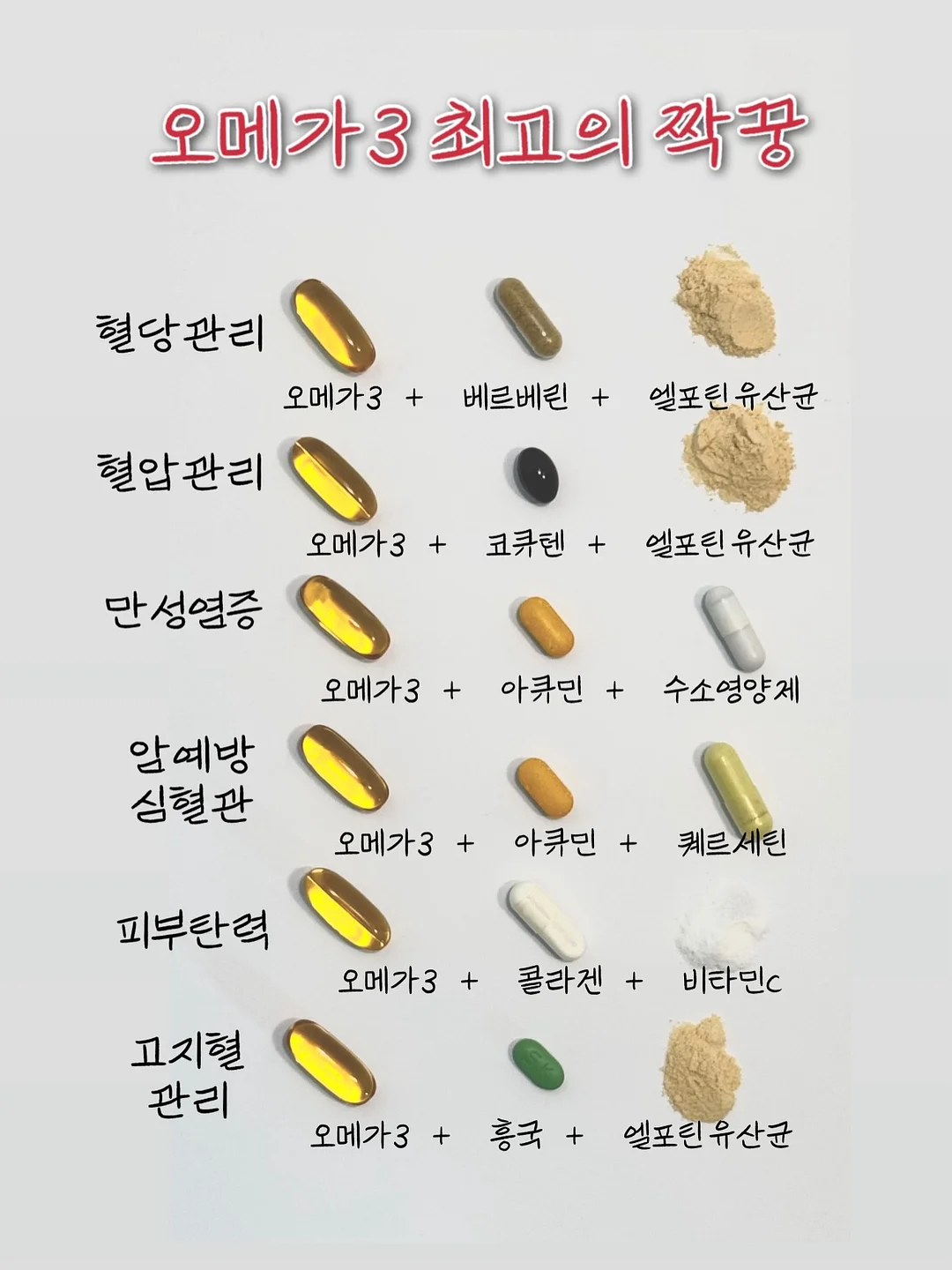 제주 곶자왈 서포터즈 6
