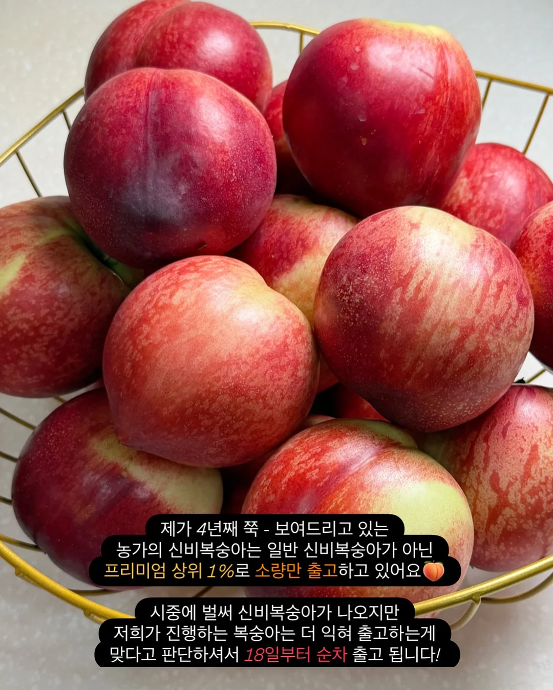 원피스 실내복 7