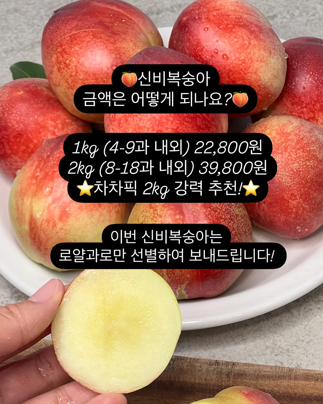 원피스 실내복 8