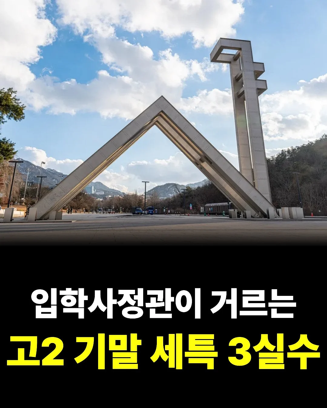 순글루 브라운