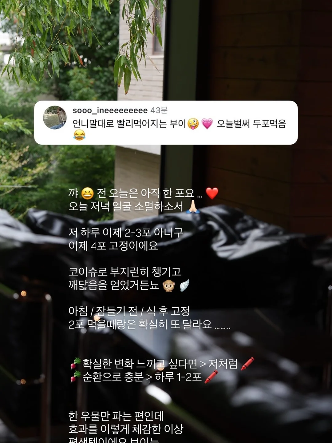 머핀케이크 12