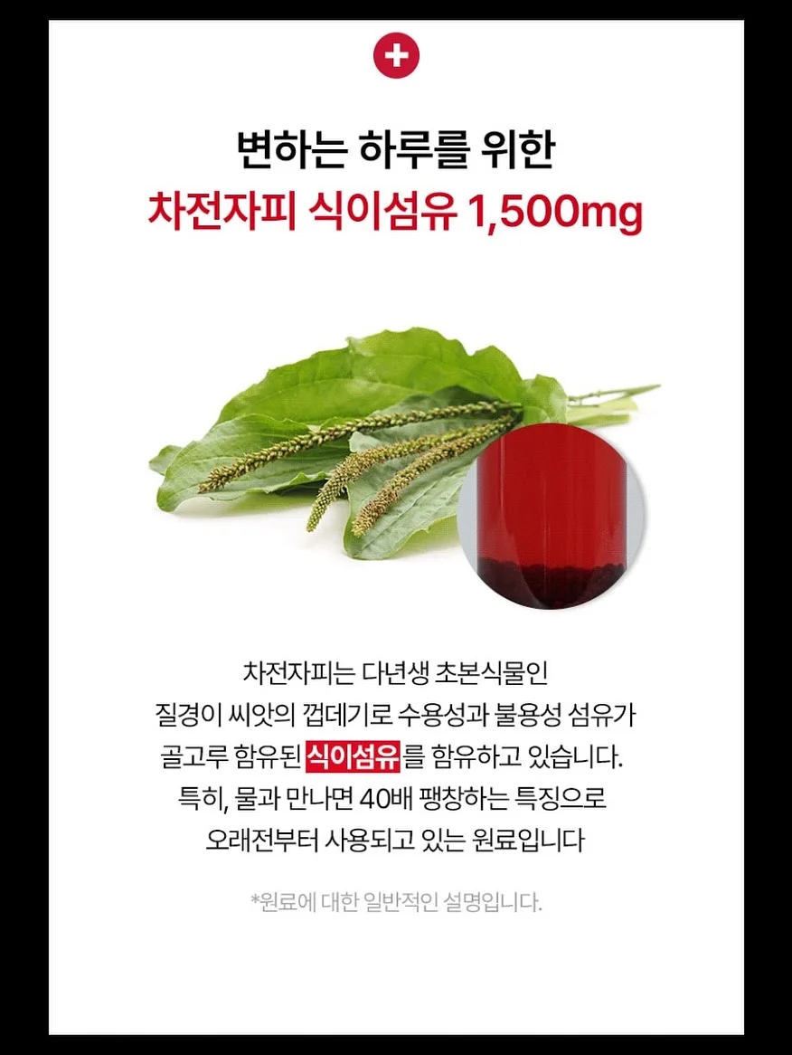 머핀케이크 18