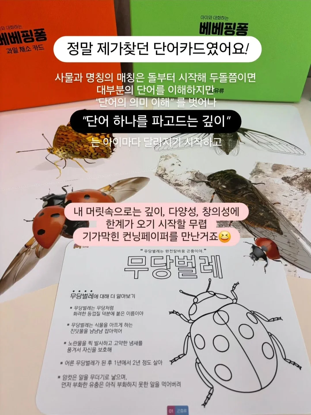 후르츠 쇼트 케이크 6
