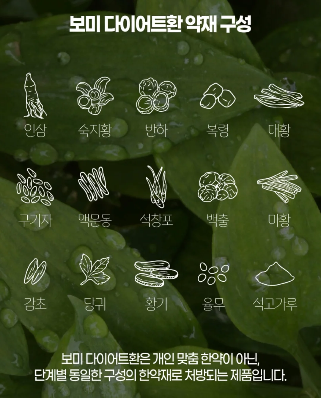 로스트란드 피크닉 레디쉬 볼 16