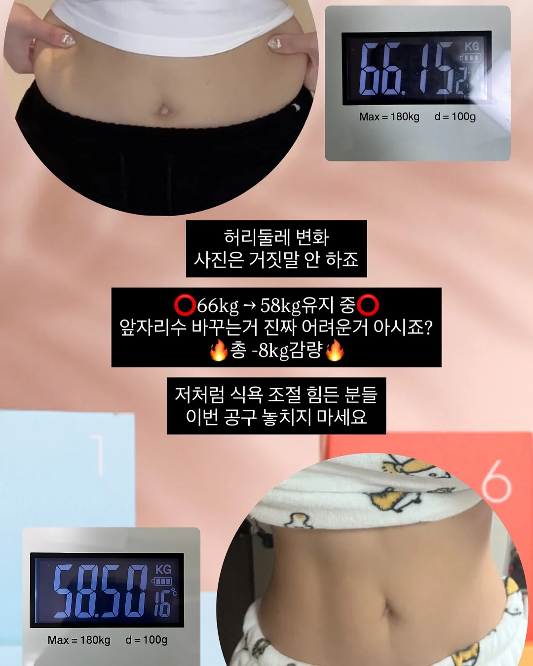 로스트란드 피크닉 레디쉬 볼 4