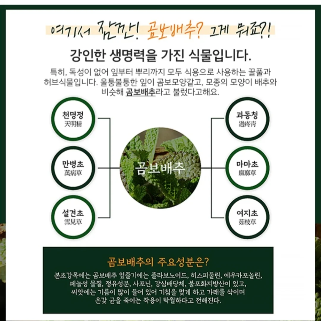분당구 대장동 아파텔 2
