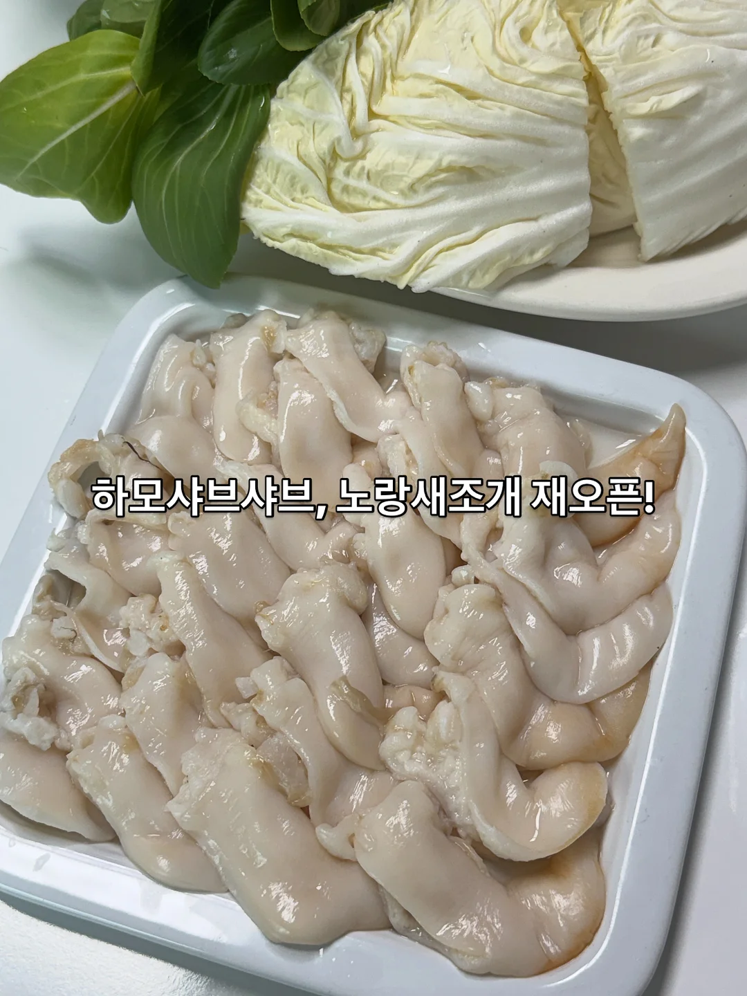 카카오 리틀프렌즈 사운드 토이북 7종 5