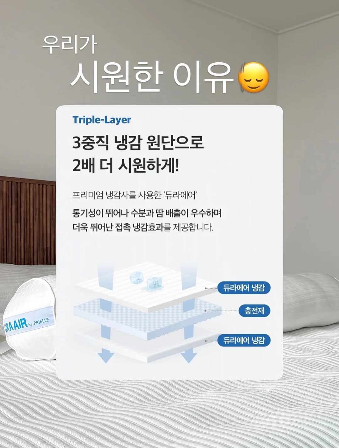 악스키드 주니어 업 카시트 12