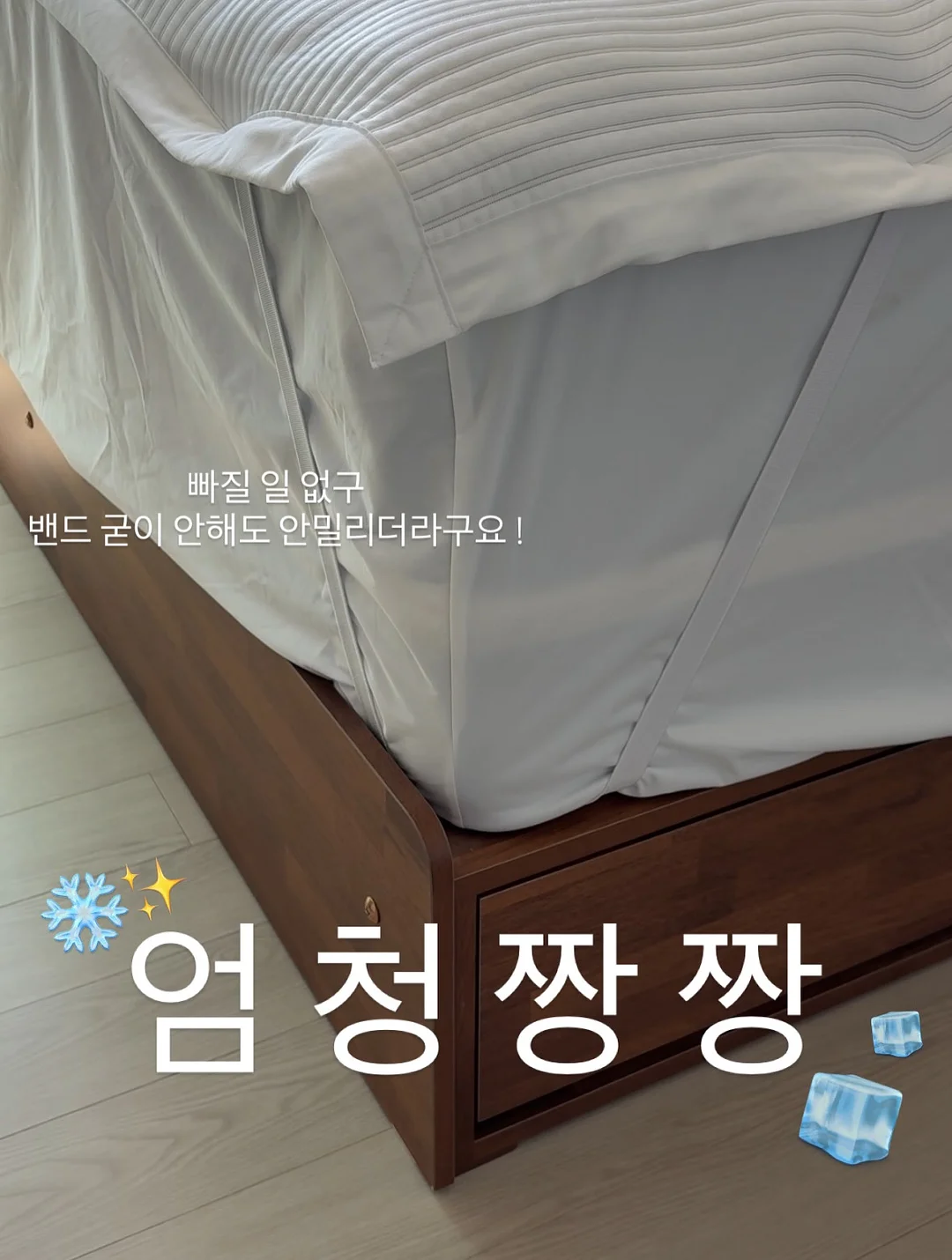 악스키드 주니어 업 카시트 5