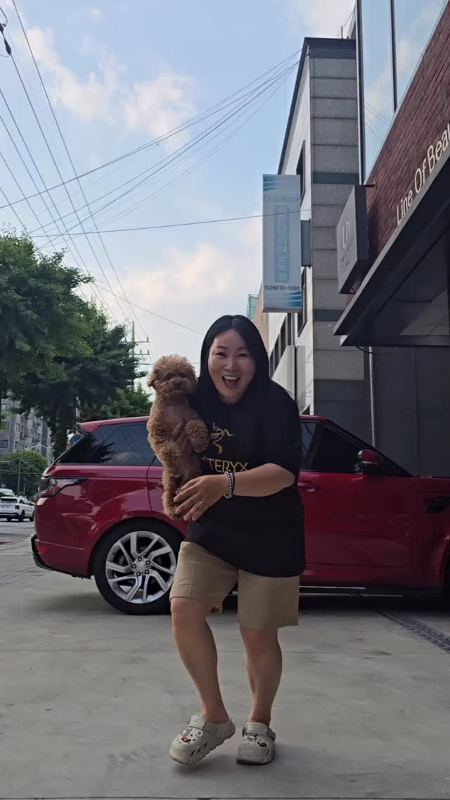 만능시리즈