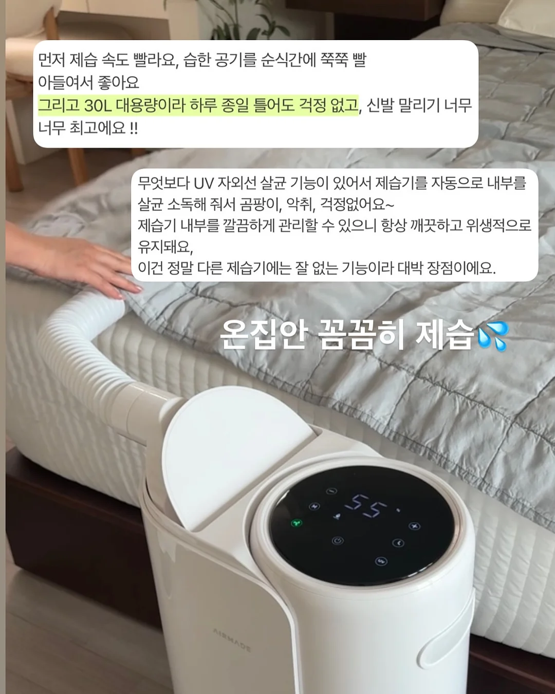 데일리베베 여름 신상 13