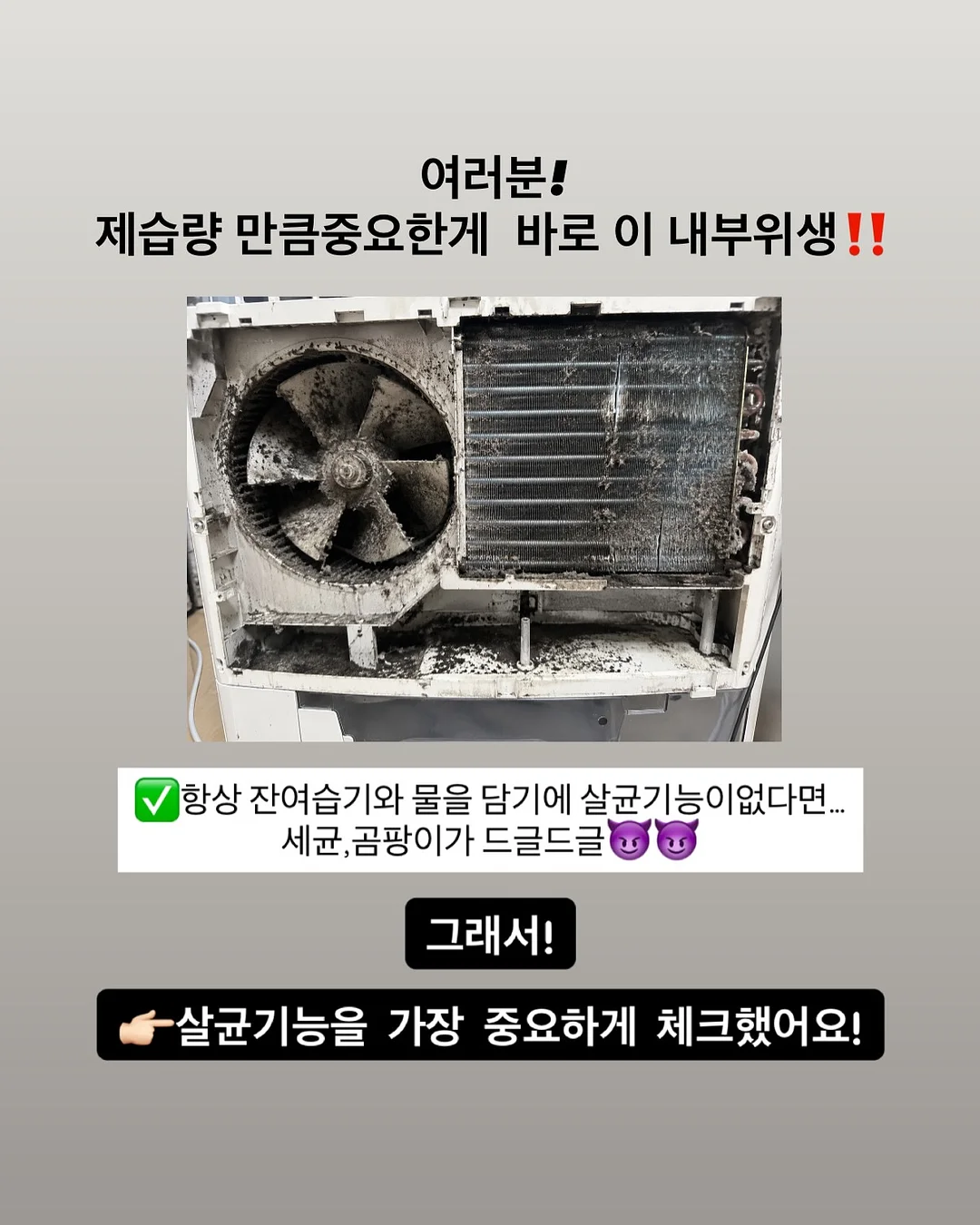 데일리베베 여름 신상 3