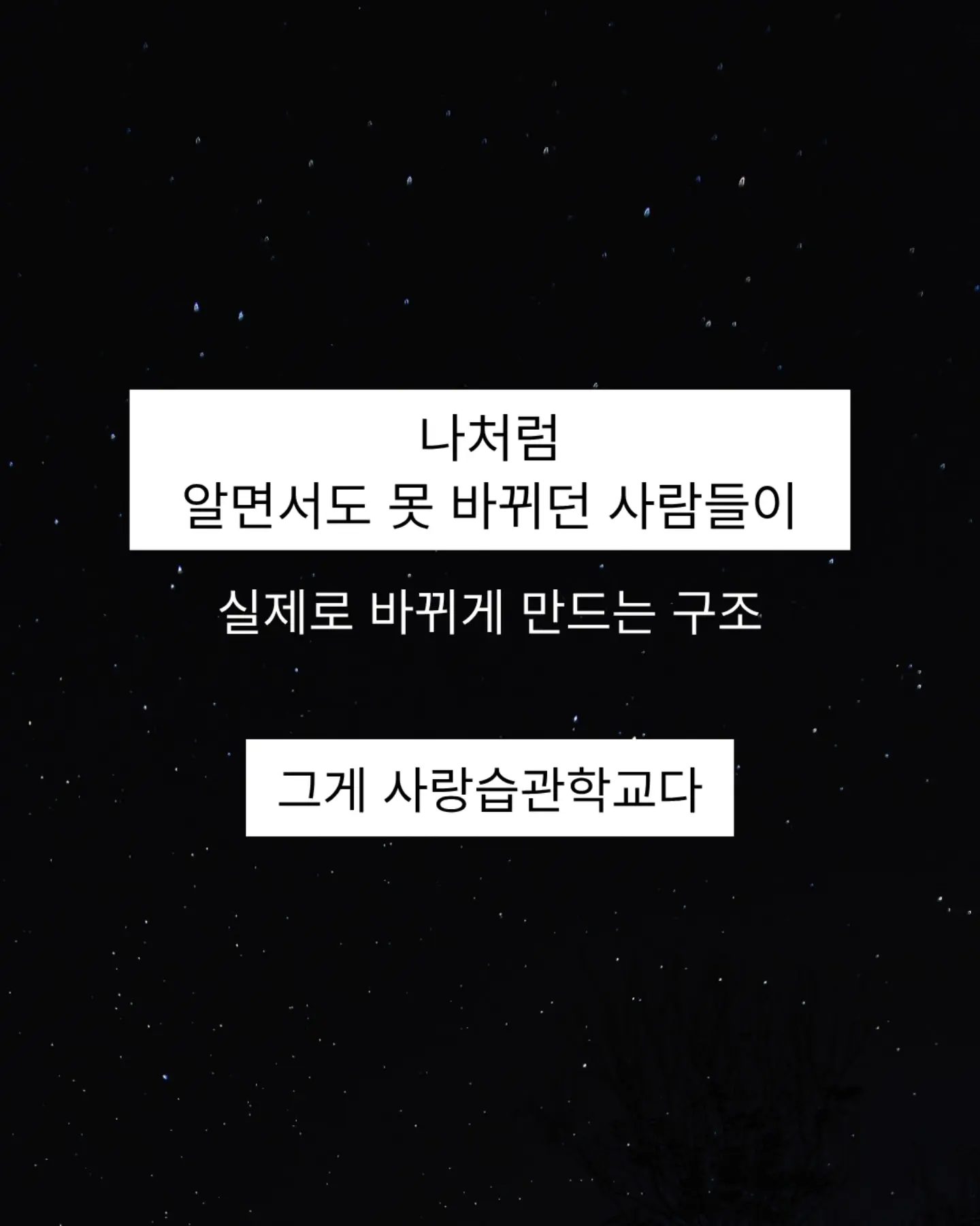 수부지 피부 최적화 루틴 12