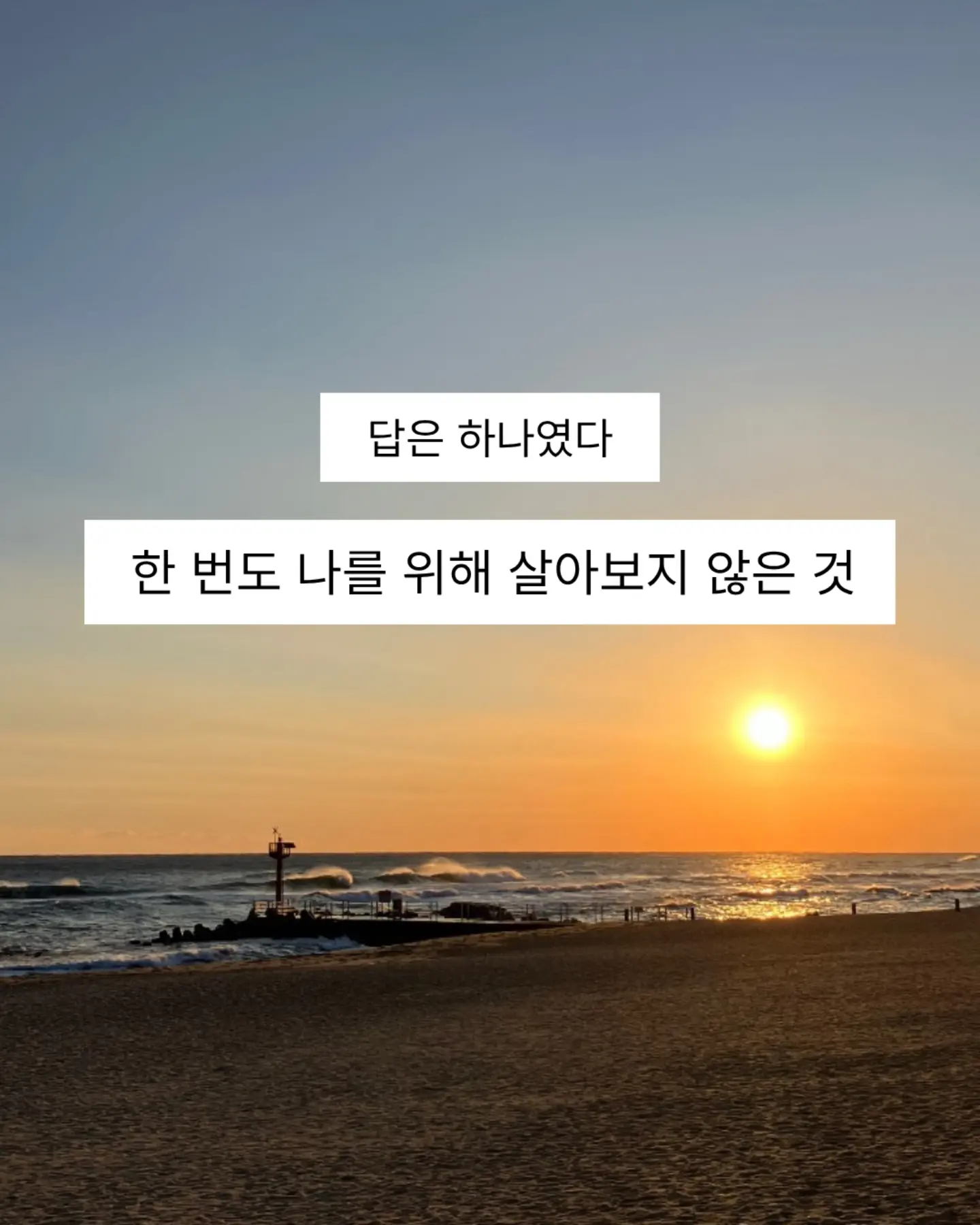 수부지 피부 최적화 루틴 5