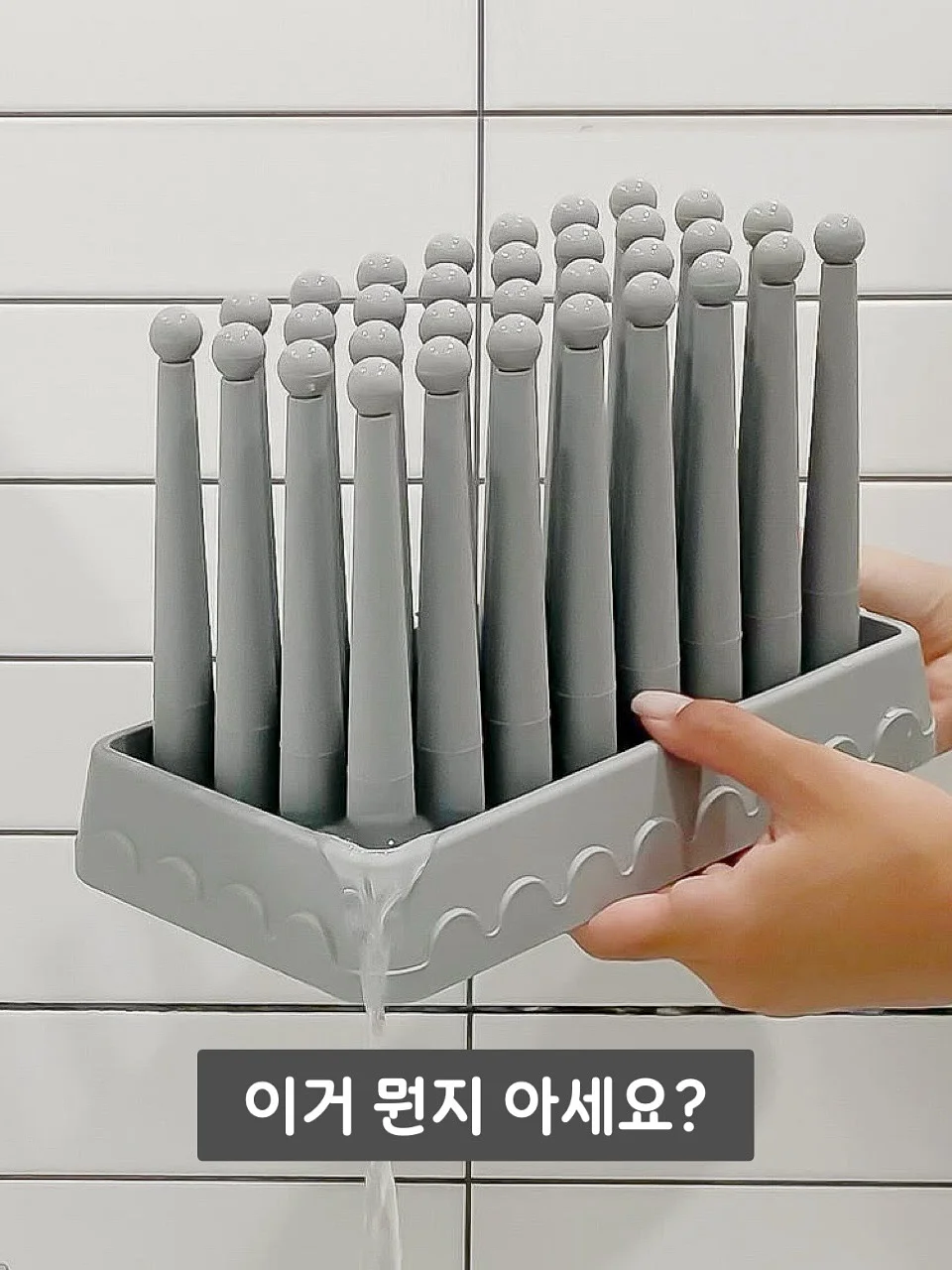 역사공룡 1
