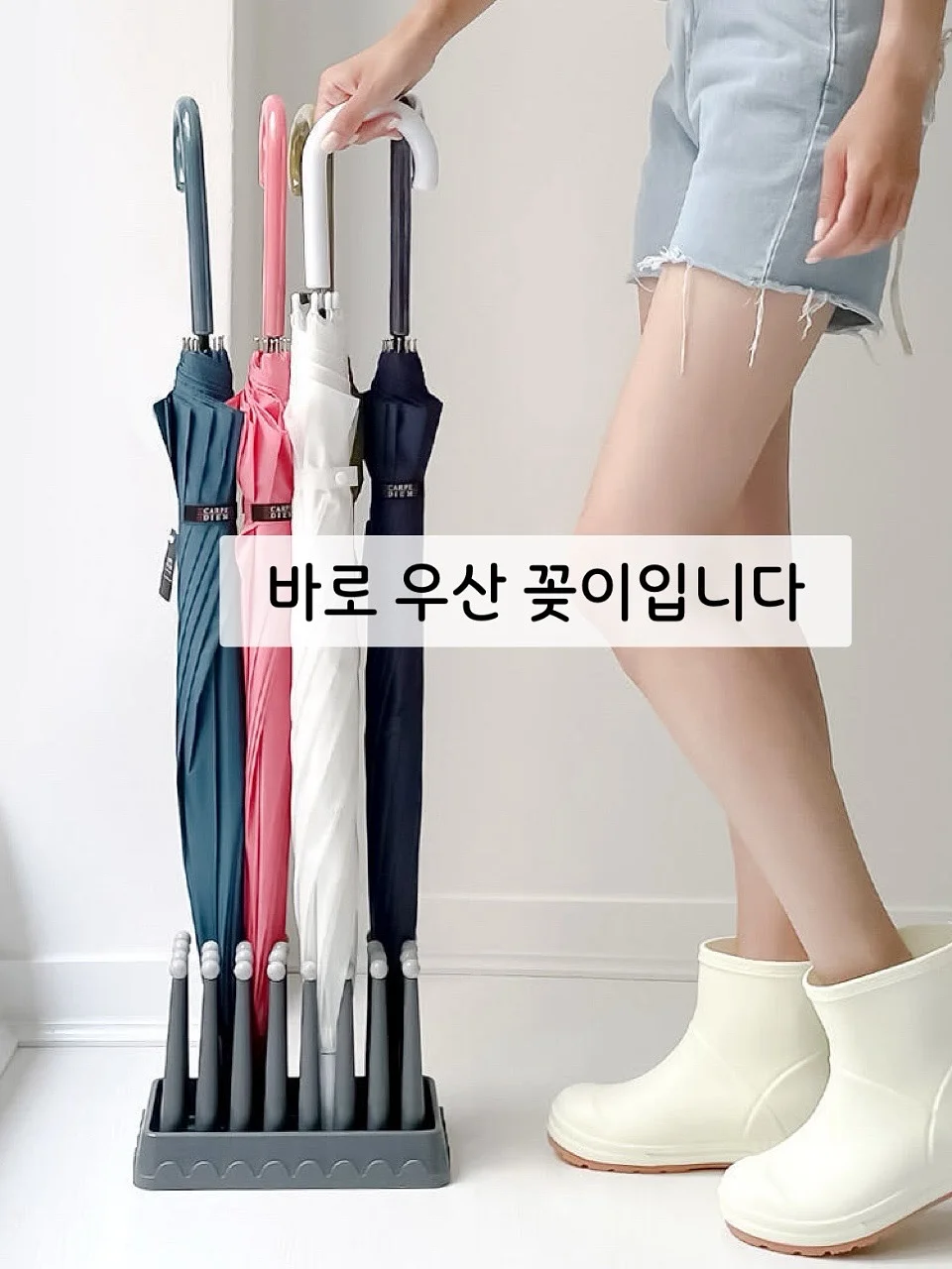 역사공룡 2