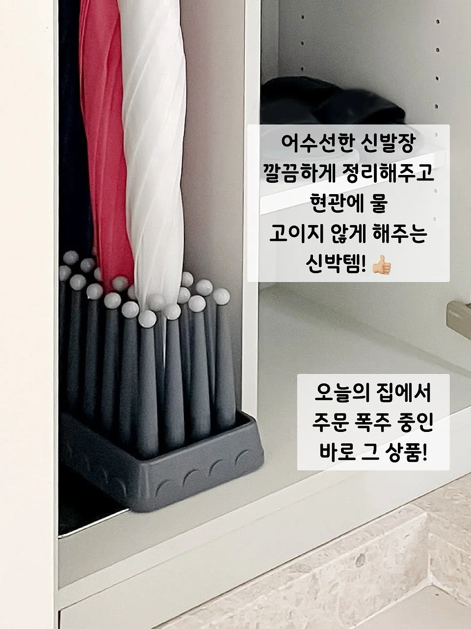 역사공룡 3