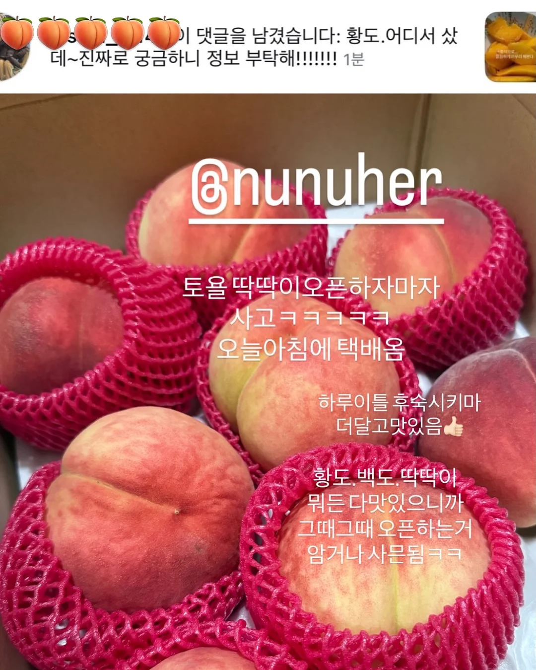 니로 짜임백 2