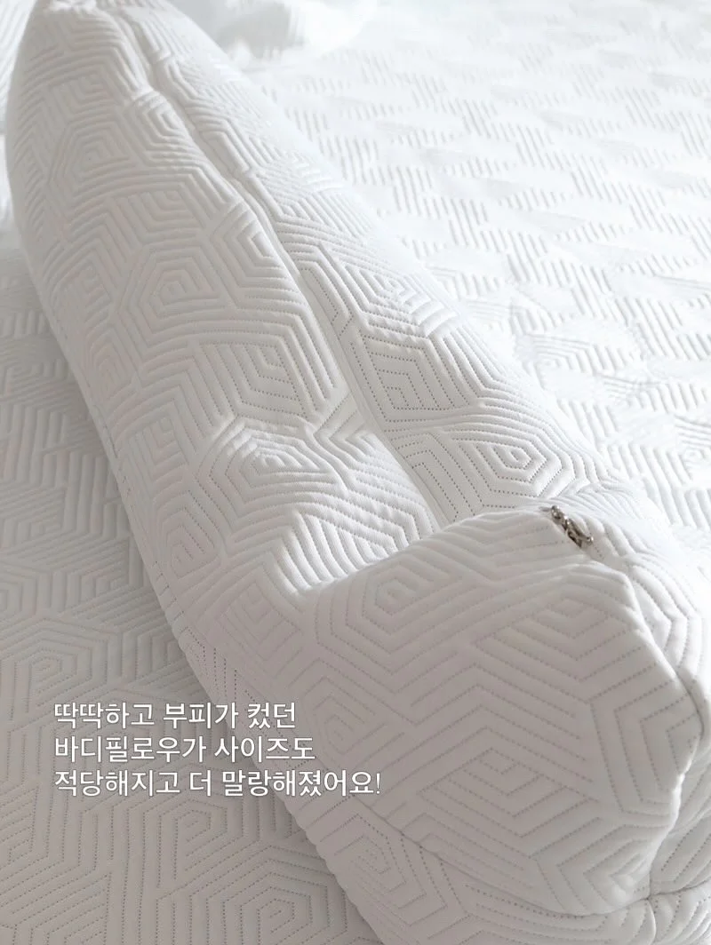 마스 장례비 5