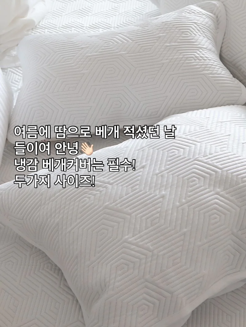 마스 장례비 8