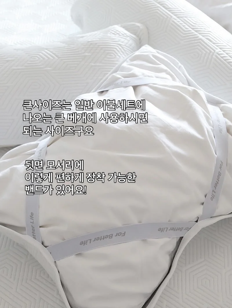 마스 장례비 9
