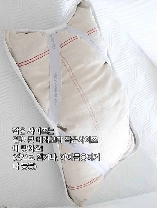 마스 장례비 10