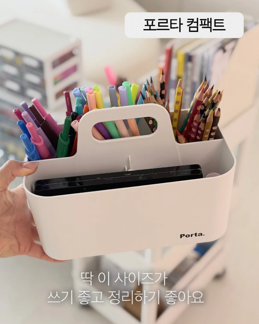 온푸 푸티셰 크리스마스케이크 9