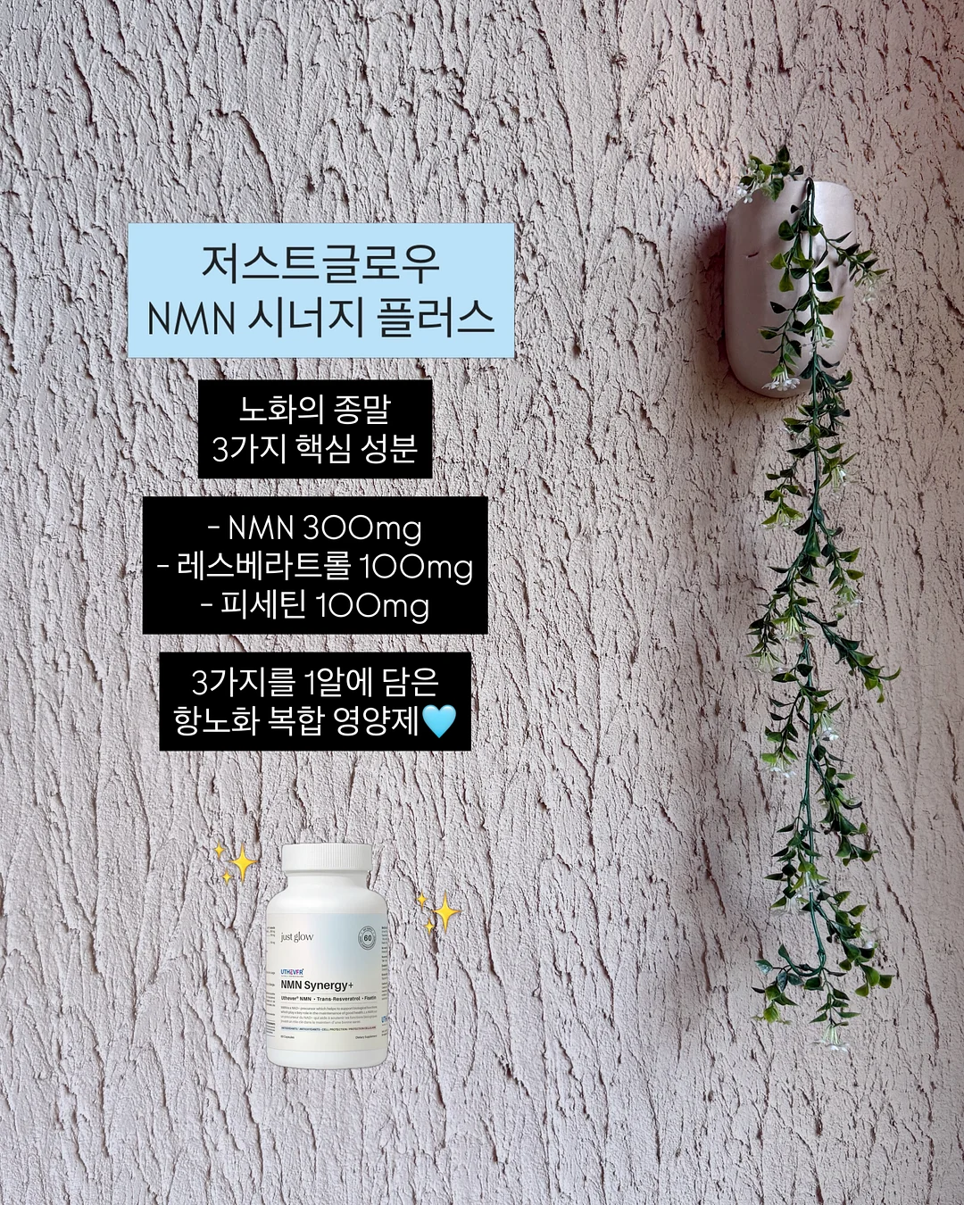 컬러 의류 3