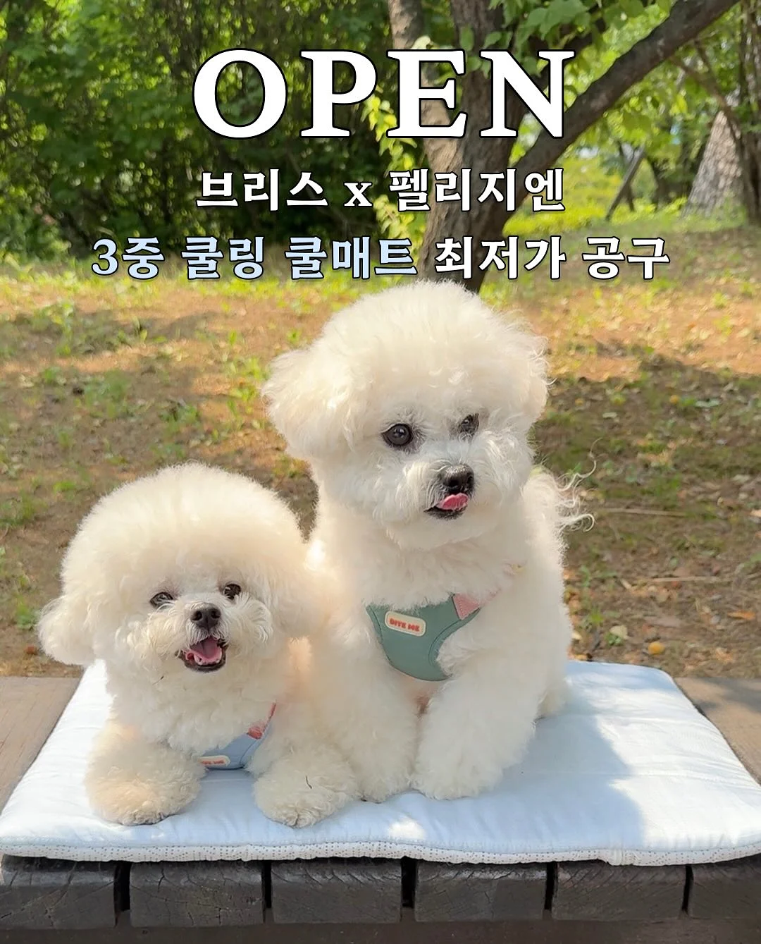 전기 구동 차량 1