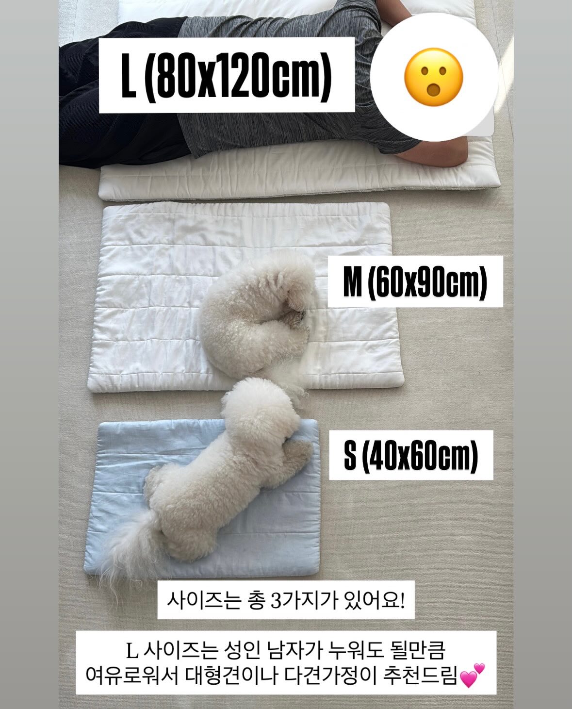 전기 구동 차량 2
