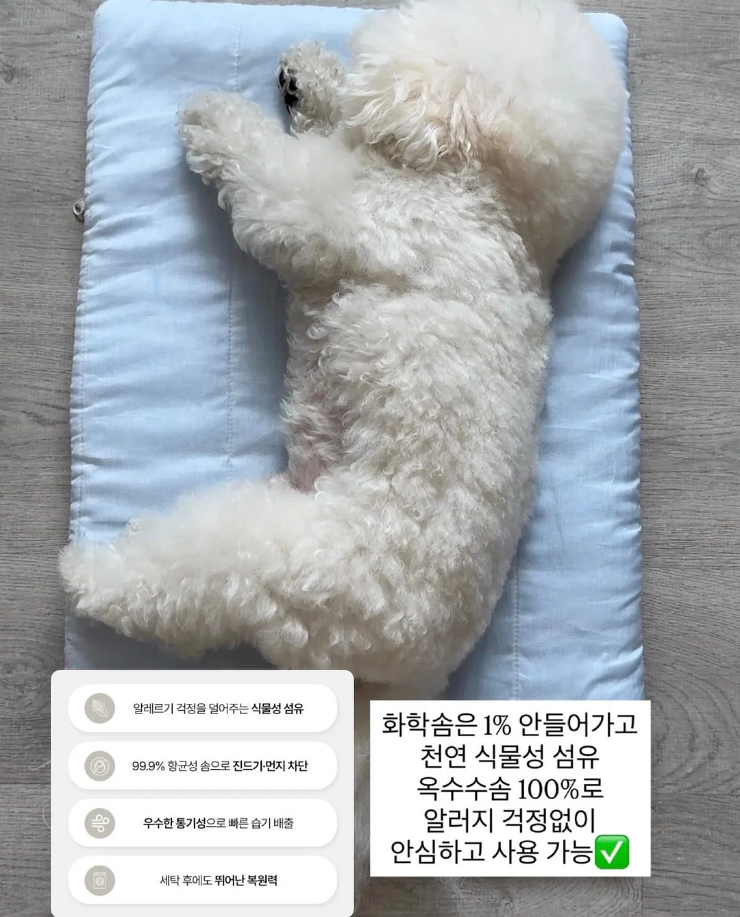 전기 구동 차량 5