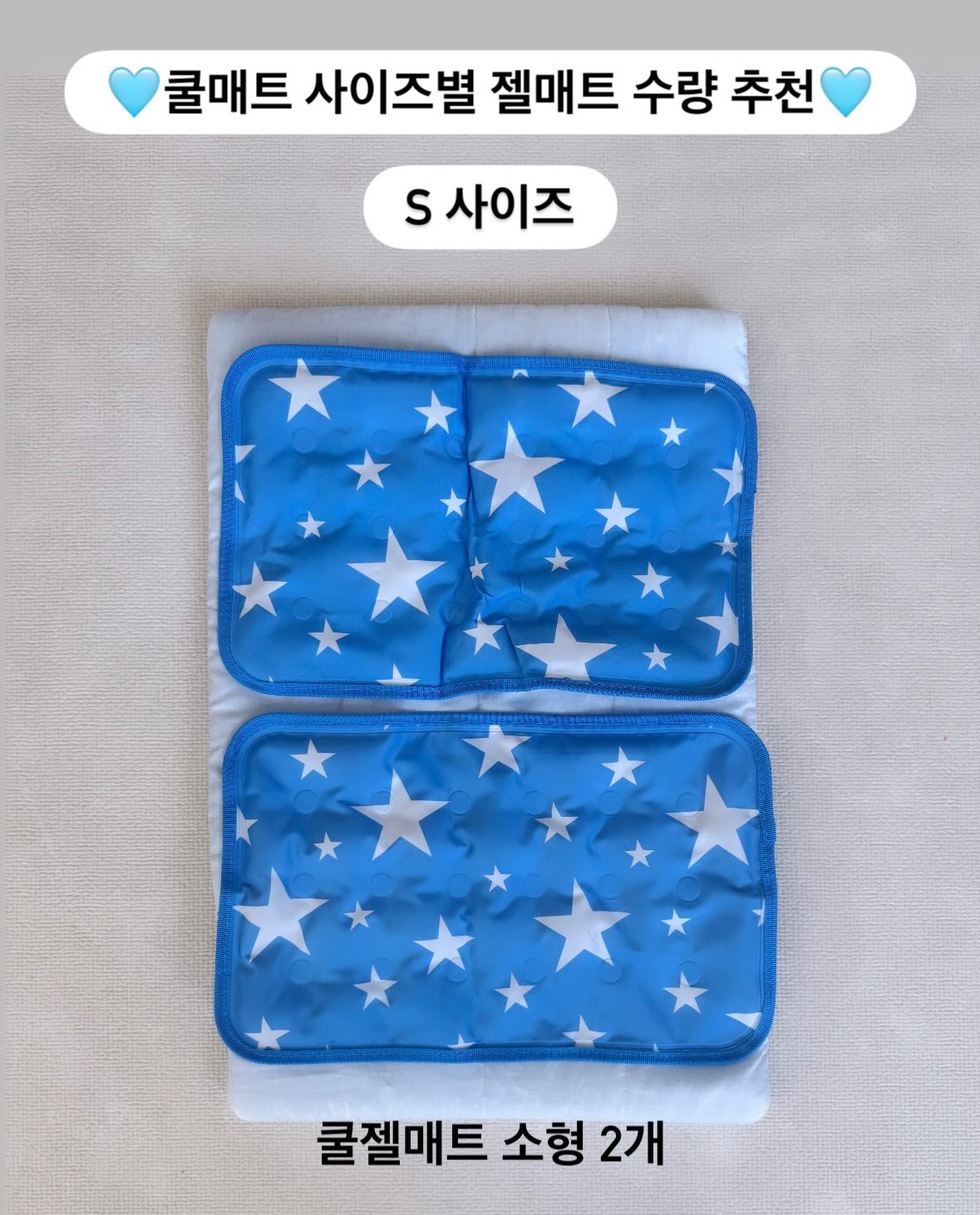 전기 구동 차량 10