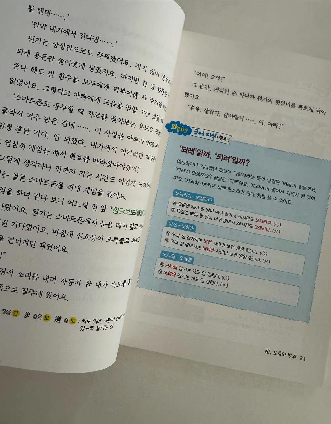 스프링 케이스 11