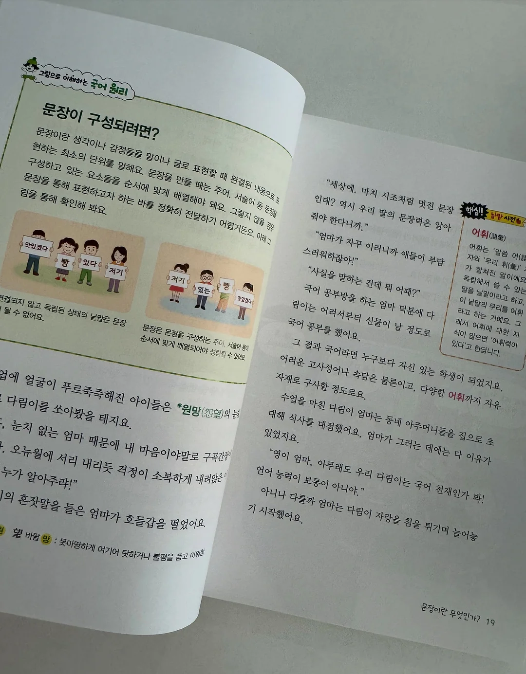 스프링 케이스 12