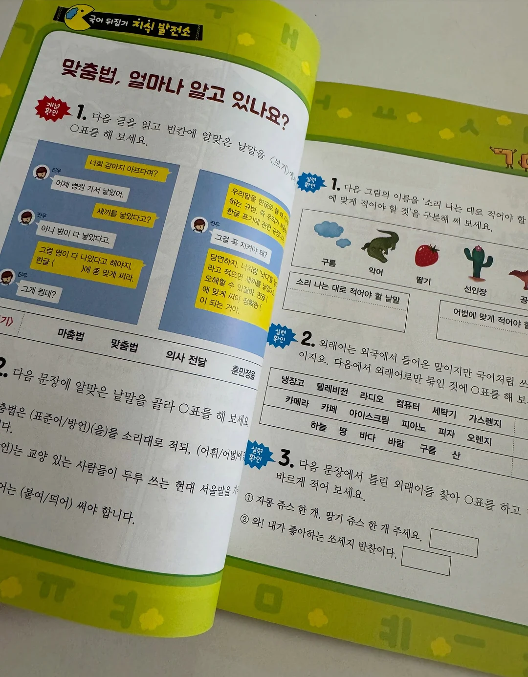 스프링 케이스 13