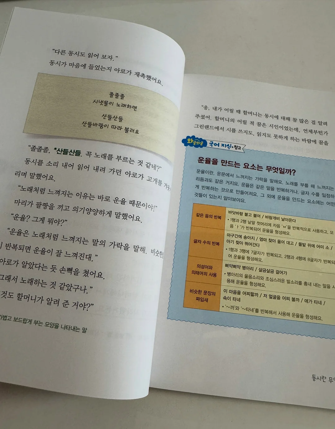 스프링 케이스 14