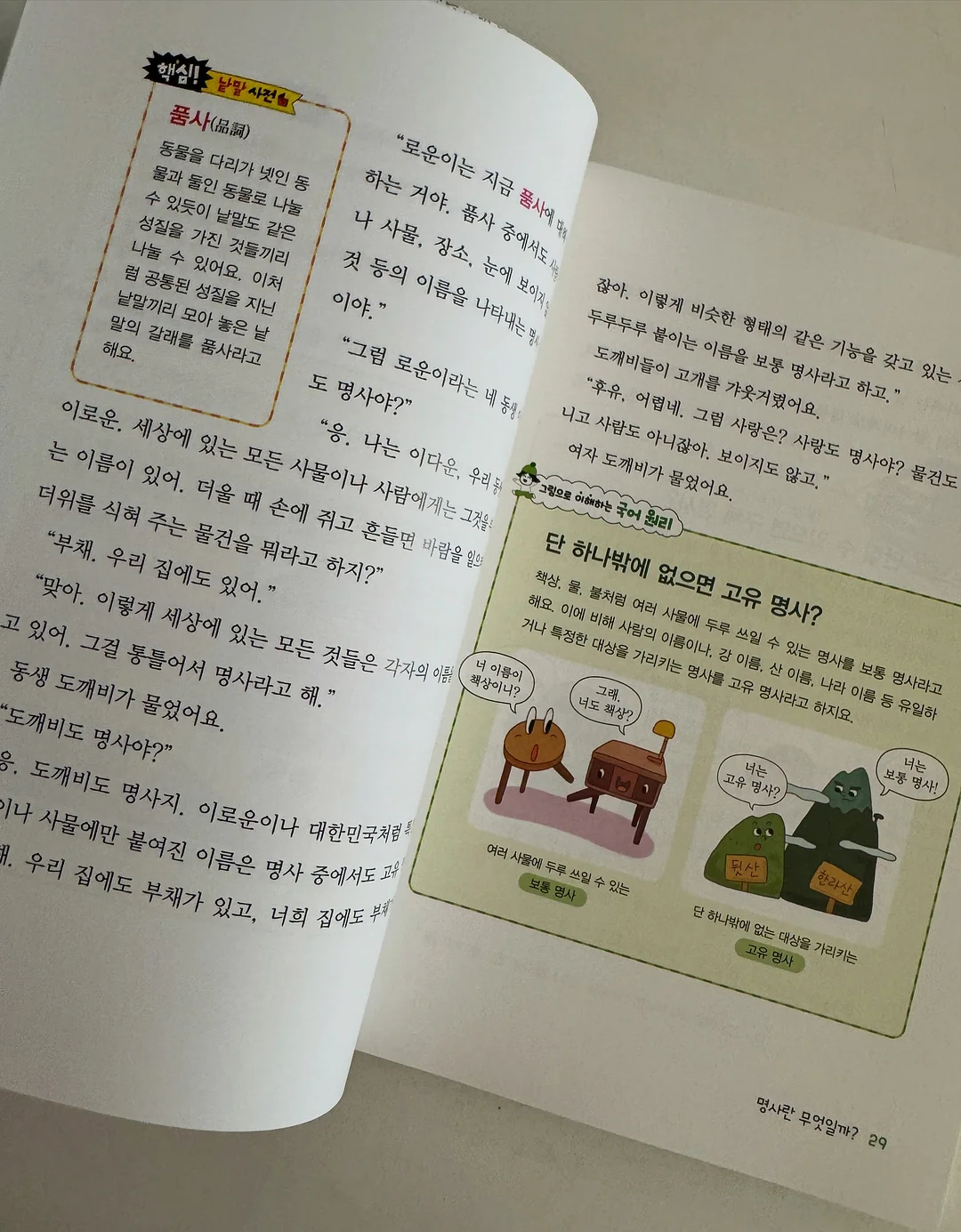 스프링 케이스 6