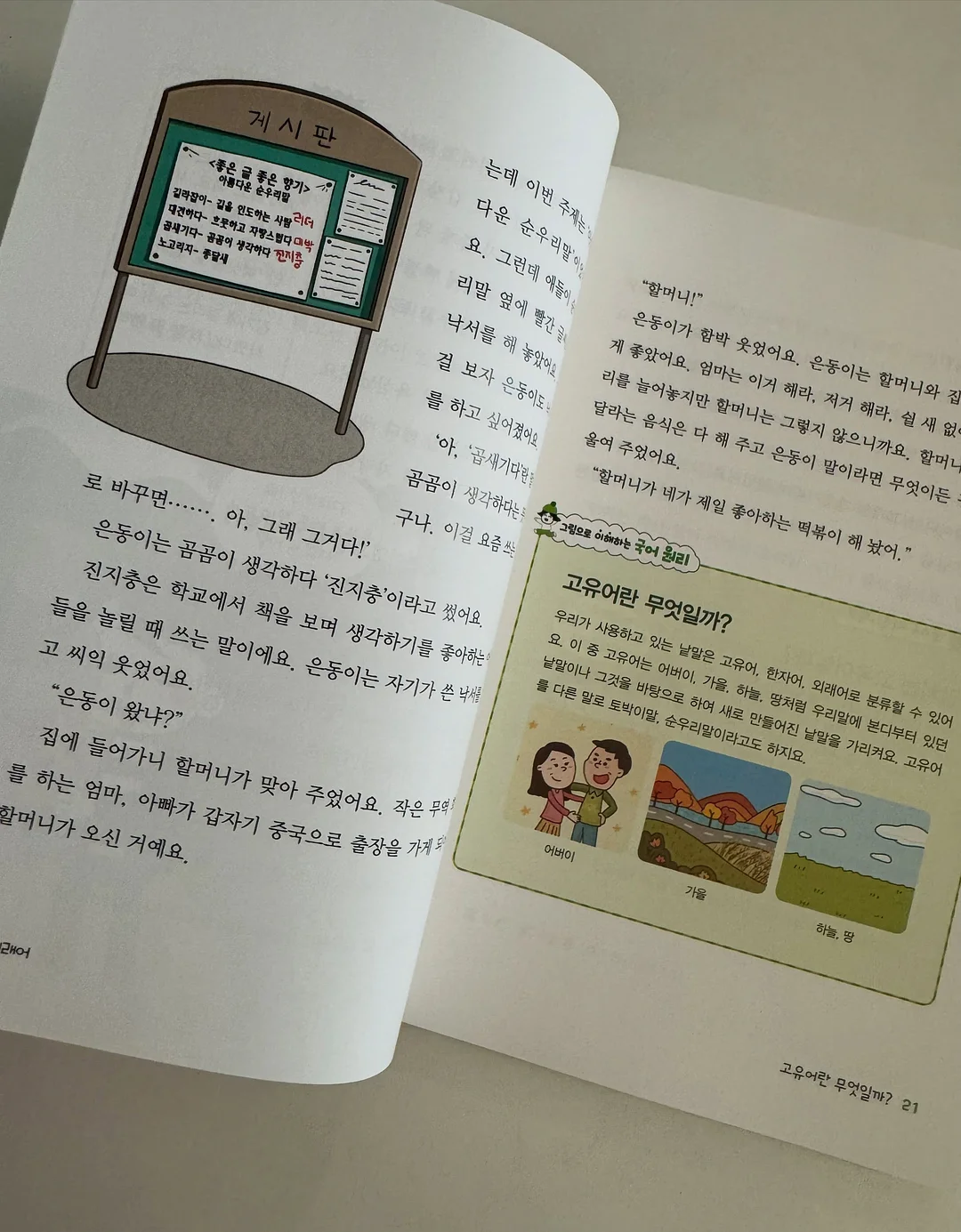 스프링 케이스 7